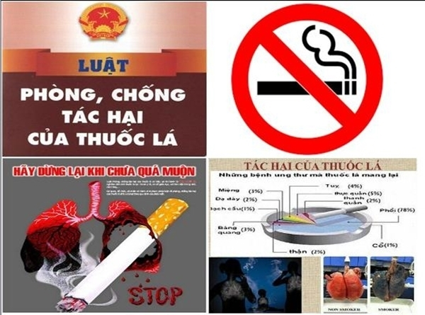 Tích cực tuyên truyền phòng, chống tác hại của thuốc lá